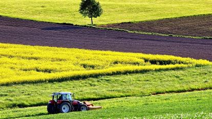 Площадь пашни в России за 35 лет упала более чем в 1,5 раза
